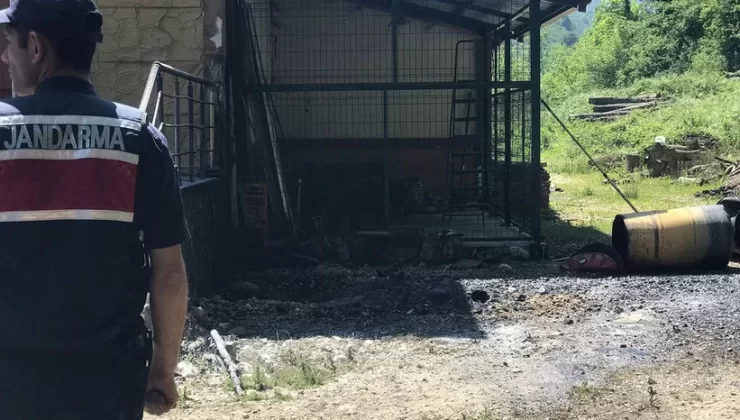 Orman deposundaki patlamadan acı haber